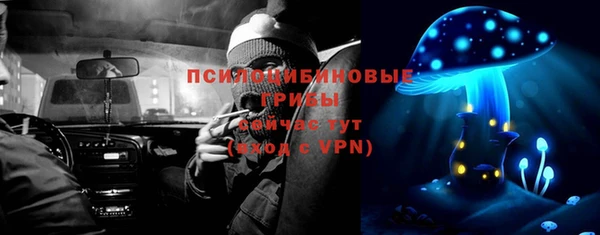 тгк Осинники