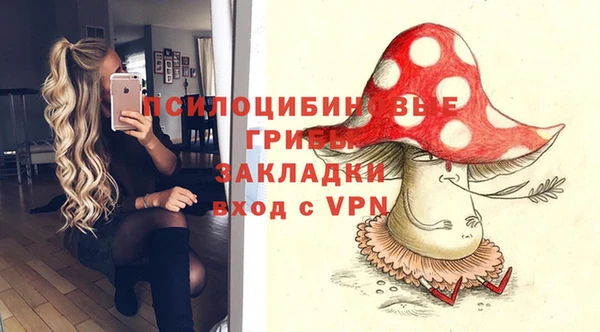 тгк Осинники