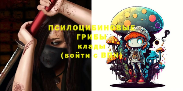 тгк Осинники