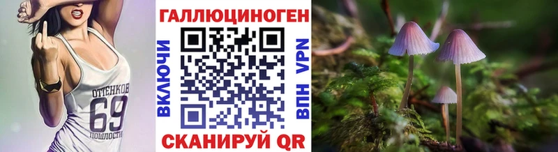 Галлюциногенные грибы Cubensis  Ачинск 