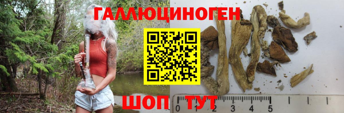 Галлюциногенные грибы мицелий Ачинск