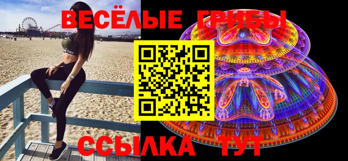 Ачинск  Псилоцибиновые грибы Psilocybe  Вход с VPN 